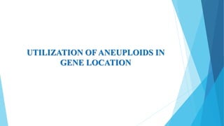 UTILIZATION OF ANEUPLOIDS IN
GENE LOCATION
 