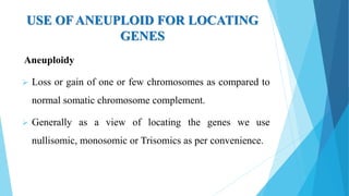 USE OF ANEUPLOID FOR LOCATING
GENES
Aneuploidy
 Loss or gain of one or few chromosomes as compared to
normal somatic chromosome complement.
 Generally as a view of locating the genes we use
nullisomic, monosomic or Trisomics as per convenience.
 