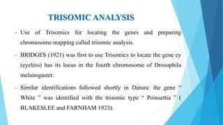 TRISOMIC ANALYSIS
 Use of Trisomics for locating the genes and preparing
chromosome mapping called trisomic analysis.
 BRIDGES (1921) was first to use Trisomics to locate the gene ey
(eyeless) has its locus in the fourth chromosome of Drosophila
melanogaster.
 Similar identifications followed shortly in Datura: the gene “
White ” was identified with the trisomic type “ Poinsettia ” (
BLAKESLEE and FARNHAM 1923).
 
