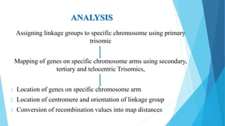 ANALYSIS
Assigning linkage groups to specific chromosome using primary
trisomic
Mapping of genes on specific chromosome arms using secondary,
tertiary and telocentric Trisomics,
1. Location of genes on specific chromosome arm
2. Location of centromere and orientation of linkage group
3. Conversion of recombination values into map distances
 