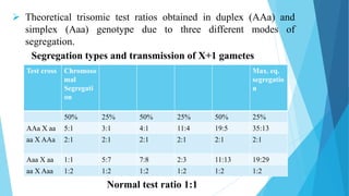  Theoretical trisomic test ratios obtained in duplex (AAa) and
simplex (Aaa) genotype due to three different modes of
segregation.
Test cross Chromoso
mal
Segregati
on
Max. eq.
segregatio
n
50% 25% 50% 25% 50% 25%
AAa X aa 5:1 3:1 4:1 11:4 19:5 35:13
aa X AAa 2:1 2:1 2:1 2:1 2:1 2:1
Aaa X aa 1:1 5:7 7:8 2:3 11:13 19:29
aa X Aaa 1:2 1:2 1:2 1:2 1:2 1:2
Normal test ratio 1:1
Segregation types and transmission of X+1 gametes
 
