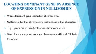LOCATING DOMINANT GENE BY ABSENCE
OF EXPRESSION IN NULLISOMICS
 When dominant gene located on chromosome.
 Nullisomic for that chromosome will not show that character.
 E.g., genes for red seed colour-on chromosome 3D.
 Gene for awn suppression- on chromosome 4B and 6B both
for wheat.
 