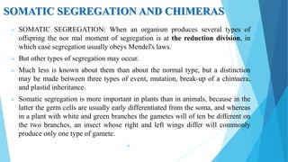 SOMATIC SEGREGATION AND CHIMERAS
 SOMATIC SEGREGATION: When an organism produces several types of
offspring the nor mal moment of segregation is at the reduction division, in
which case segregation usually obeys Mendel's laws.
 But other types of segregation may occur.
 Much less is known about them than about the normal type, but a distinction
may be made between three types of event, mutation, break-up of a chimaera,
and plastid inheritance.
 Somatic segregation is more important in plants than in animals, because in the
latter the germ cells are usually early differentiated from the soma, and whereas
in a plant with white and green branches the gametes will of ten be different on
the two branches, an insect whose right and left wings differ will commonly
produce only one type of gamete.

 
