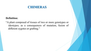CHIMERAS
Definition:
“A plant composed of tissues of two or more genotypes or
ideotypes; as a consequences of mutation, fusion of
different zygotes or grafting.”
 