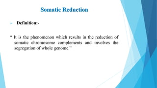  Definition:-
“ It is the phenomenon which results in the reduction of
somatic chromosome complements and involves the
segregation of whole genome.”
 