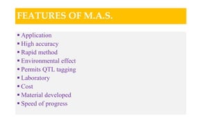 FEATURES OF M.A.S.
 Application
 High accuracy
 Rapid method
 Environmental effect
 Permits QTL tagging
 Laboratory
 Cost
 Material developed
 Speed of progress
 