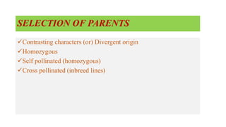 SELECTION OF PARENTS
Contrasting characters (or) Divergent origin
Homozygous
Self pollinated (homozygous)
Cross pollinated (inbreed lines)
 