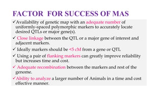 FACTOR FOR SUCCESS OF MAS
Availability of genetic map with an adequate number of
uniformly-spaced polymorphic markers to accurately locate
desired QTLs or major gene(s).
 Close linkage between the QTL or a major gene of interest and
adjacent markers.
 Ideally markers should be <5 cM from a gene or QTL
 Using a pair of flanking markers can greatly improve reliability
but increases time and cost.
 Adequate recombination between the markers and rest of the
genome.
Ability to analyze a larger number of Animals in a time and cost
effective manner.
 