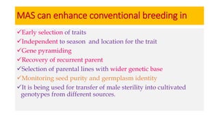 MAS can enhance conventional breeding in
Early selection of traits
Independent to season and location for the trait
Gene pyramiding
Recovery of recurrent parent
Selection of parental lines with wider genetic base
Monitoring seed purity and germplasm identity
It is being used for transfer of male sterility into cultivated
genotypes from different sources.
 