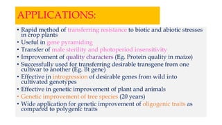 APPLICATIONS:
• Rapid method of transferring resistance to biotic and abiotic stresses
in crop plants
• Useful in gene pyramiding
• Transfer of male sterility and photoperiod insensitivity
• Improvement of quality characters (Eg. Protein quality in maize)
• Successfully used for transferring desirable transgene from one
cultivar to another (Eg. Bt gene)
• Effective in introgression of desirable genes from wild into
cultivated genotypes
• Effective in genetic improvement of plant and animals
• Genetic improvement of tree species (20 years)
• Wide application for genetic improvement of oligogenic traits as
compared to polygenic traits
 