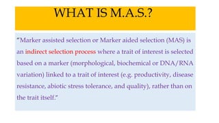 WHAT IS M.A.S.?
“Marker assisted selection or Marker aided selection (MAS) is
an indirect selection process where a trait of interest is selected
based on a marker (morphological, biochemical or DNA/RNA
variation) linked to a trait of interest (e.g. productivity, disease
resistance, abiotic stress tolerance, and quality), rather than on
the trait itself.”
 