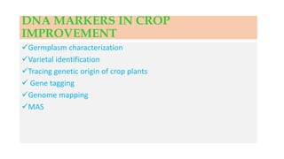 DNA MARKERS IN CROP
IMPROVEMENT
Germplasm characterization
Varietal identification
Tracing genetic origin of crop plants
 Gene tagging
Genome mapping
MAS
 