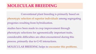 MOLECULAR BREEDING
Conventional plant breeding is primarily based on
phenotypic selection of superior individuals among segregating
progenies resulting from hybridization.
studies have been made in crop improvement through
phenotypic selections for agronomically important traits,
considerable difficulties are often encountered during this
process, primarily due to G×E interactions.
MOLECULAR BREEDING helps to encounter this problems.
 