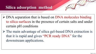 Silica adsorption method
 DNA separation that is based on DNA molecules binding
to silica surfaces in the presence of certain salts and under
certain pH conditions
 The main advantage of silica gel-based DNA extraction is
that it is rapid and gives “PCR ready DNA” for the
downstream applications.
 