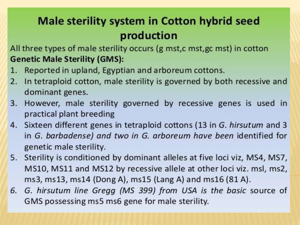 Development of male sterile line in cotton