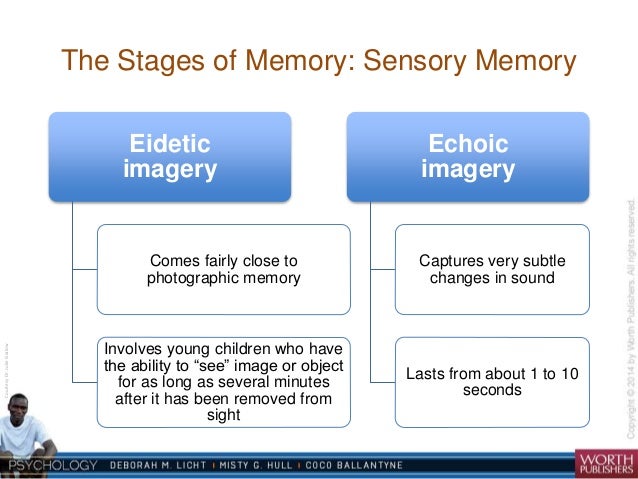 example of eidetic memory example of eidetic memory