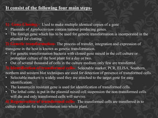 It consist of the following four main steps-
1) Gene Cloning - Used to make multiple identical copies of a gene
• Plasmids of Agrobacterium contain tumour producing genes.
• The foreign gene which has to be used for genetic transformation is incorporated in the
plasmid for cloning.
2) Genetic transformation- The process of transfer, integration and expression of
transgene in the host is known as genetic transformation.
• For genetic transformation bacteria with cloned gene mixed in the cell culture or
protoplast culture of the host plant for a day or two.
• Out of several thousand of cells in the culture medium only few are transferred.
3) Identification of transformed cells- Selectable marker, PCR, ELISA, Southern,
northern and western blot techniques are used for detection of presence of transformed cells.
• Selectable markers is widely used they are attached to the target gene for easy
identification.
• The kanamycin resistant gene is used for identification of transformed cells.
• The lethal conc. is put in the plasmid mixed cell suspension the non-transformed cells
will die and only transformed cells will survive.
4) Regeneration of transformed cells- The transformed cells are transferred in to
culture medium for transformation into whole plant.
 