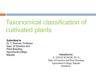 Taxonomical classification of
cultivated plants
Submitted by
G. VINAY KUMAR, Ph. D
Dept. of Genetics and Plant Breeding
Agricultural College, Bapatla
ANGRAU.
Submitted to
Dr. T. Srinivas, Professor
Dept. of Genetics and
Plant Breeding,
Agricultural college,
Bapatla
 