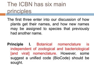 The ICBN has six main
principles
The first three enter into our discussion of how
plants get their names, and how new names
may be assigned to species that previously
had another name.
Principle I. Botanical nomenclature is
independent of zoological and bacteriological
[and viral] nomenclature. However, some
suggest a unified code (BioCode) should be
sought.
 