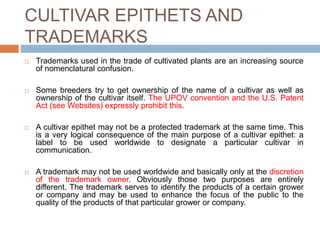 CULTIVAR EPITHETS AND
TRADEMARKS
 Trademarks used in the trade of cultivated plants are an increasing source
of nomenclatural confusion.
 Some breeders try to get ownership of the name of a cultivar as well as
ownership of the cultivar itself. The UPOV convention and the U.S. Patent
Act (see Websites) expressly prohibit this.
 A cultivar epithet may not be a protected trademark at the same time. This
is a very logical consequence of the main purpose of a cultivar epithet: a
label to be used worldwide to designate a particular cultivar in
communication.
 A trademark may not be used worldwide and basically only at the discretion
of the trademark owner. Obviously those two purposes are entirely
different. The trademark serves to identify the products of a certain grower
or company and may be used to enhance the focus of the public to the
quality of the products of that particular grower or company.
 