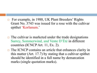  For example, in 1988, UK Plant Breeders’ Rights
Grant No. 3743 was issued for a rose with the cultivar
epithet ‘Korlanum.’
 The cultivar is marketed under the trade designations
Surrey, Sommerwind, and Vente D’Été in different
countries (ICNCP Art. 11, Ex. 2).
 The ICNCP contains an article that enhances clarity in
this matter (Art. 17.7) by stating that a cultivar epithet
should be identified in a full name by demarcation
marks (single quotation marks).
 