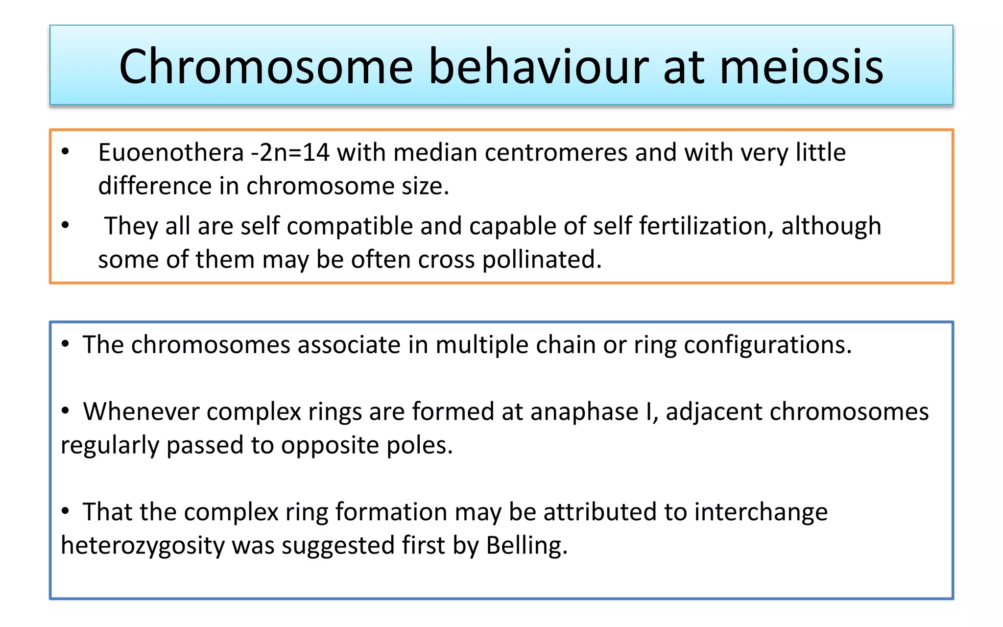 Chromosome behaviour at meiosis
• Euoenothera -2n=14 with median centromeres and with very little
difference in chromosome size.
• They all are self compatible and capable of self fertilization, although
some of them may be often cross pollinated.
• The chromosomes associate in multiple chain or ring configurations.
• Whenever complex rings are formed at anaphase I, adjacent chromosomes
regularly passed to opposite poles.
• That the complex ring formation may be attributed to interchange
heterozygosity was suggested first by Belling.
 