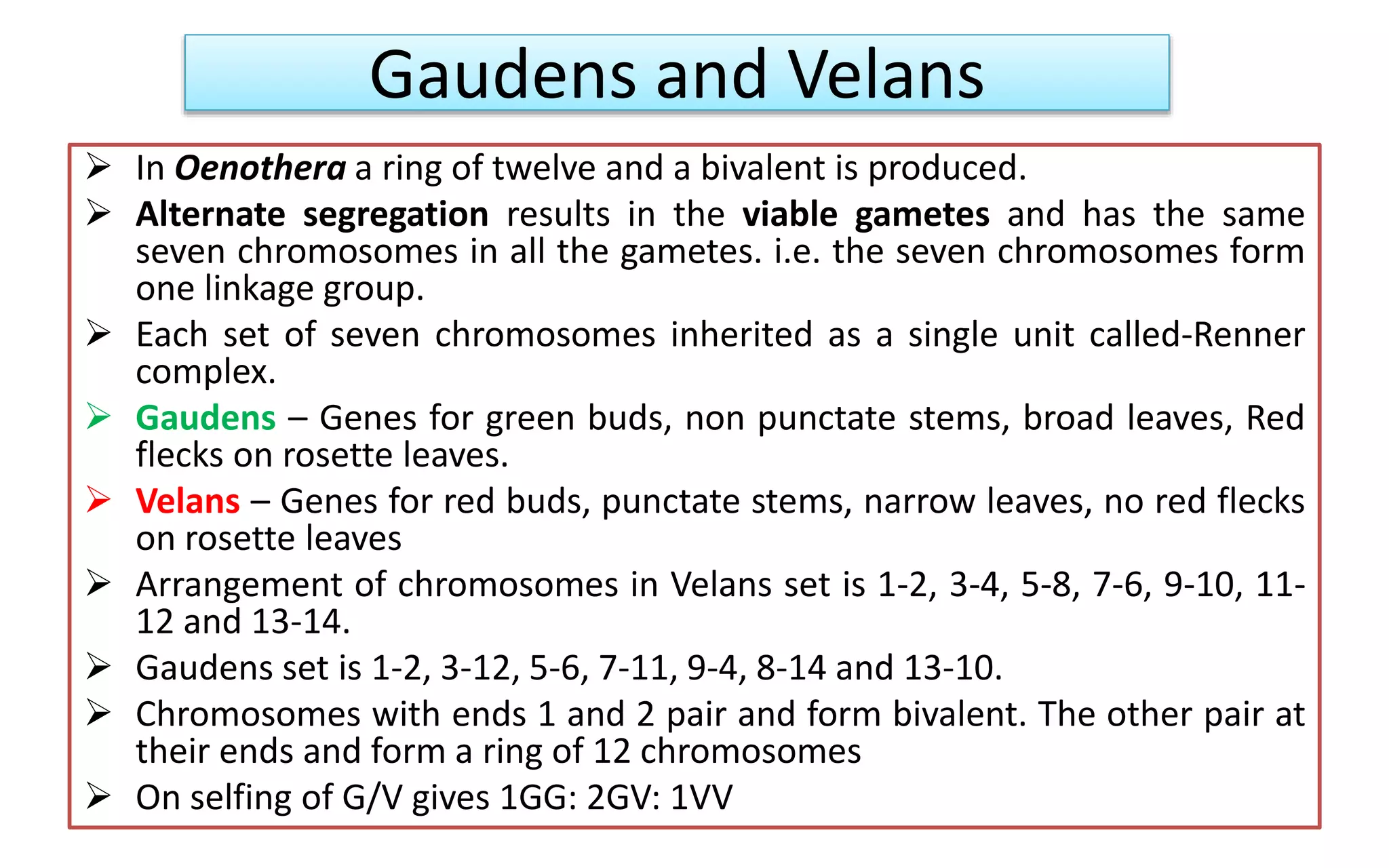 Gaudens and Velans
 In Oenothera a ring of twelve and a bivalent is produced.
 Alternate segregation results in the viable gametes and has the same
seven chromosomes in all the gametes. i.e. the seven chromosomes form
one linkage group.
 Each set of seven chromosomes inherited as a single unit called-Renner
complex.
 Gaudens – Genes for green buds, non punctate stems, broad leaves, Red
flecks on rosette leaves.
 Velans – Genes for red buds, punctate stems, narrow leaves, no red flecks
on rosette leaves
 Arrangement of chromosomes in Velans set is 1-2, 3-4, 5-8, 7-6, 9-10, 11-
12 and 13-14.
 Gaudens set is 1-2, 3-12, 5-6, 7-11, 9-4, 8-14 and 13-10.
 Chromosomes with ends 1 and 2 pair and form bivalent. The other pair at
their ends and form a ring of 12 chromosomes
 On selfing of G/V gives 1GG: 2GV: 1VV
 