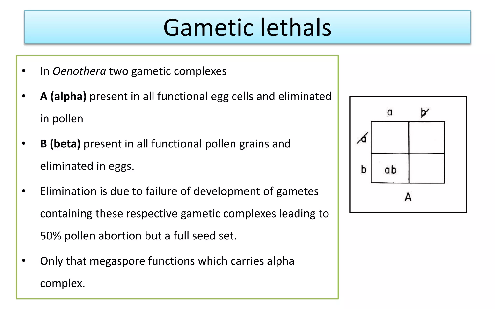 Gametic lethals
• In Oenothera two gametic complexes
• Α (alpha) present in all functional egg cells and eliminated
in pollen
• Β (beta) present in all functional pollen grains and
eliminated in eggs.
• Elimination is due to failure of development of gametes
containing these respective gametic complexes leading to
50% pollen abortion but a full seed set.
• Only that megaspore functions which carries alpha
complex.
 
