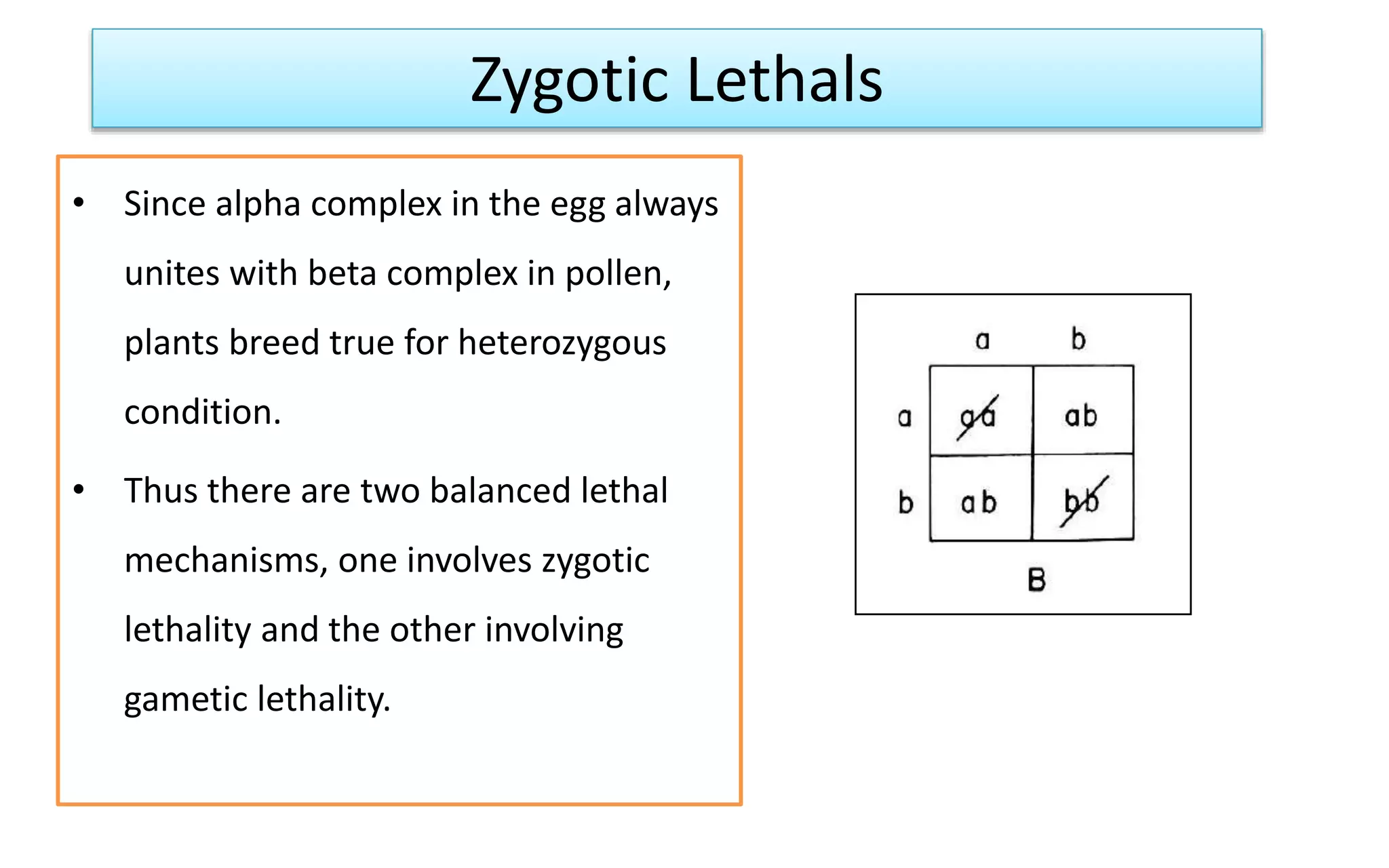 • Since alpha complex in the egg always
unites with beta complex in pollen,
plants breed true for heterozygous
condition.
• Thus there are two balanced lethal
mechanisms, one involves zygotic
lethality and the other involving
gametic lethality.
Zygotic Lethals
 