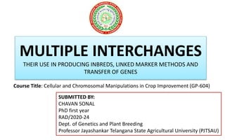 MULTIPLE INTERCHANGES
THEIR USE IN PRODUCING INBREDS, LINKED MARKER METHODS AND
TRANSFER OF GENES
SUBMITTED BY:
CHAVAN SONAL
PhD first year
RAD/2020-24
Dept. of Genetics and Plant Breeding
Professor Jayashankar Telangana State Agricultural University (PJTSAU)
Course Title: Cellular and Chromosomal Manipulations in Crop Improvement (GP-604)
 