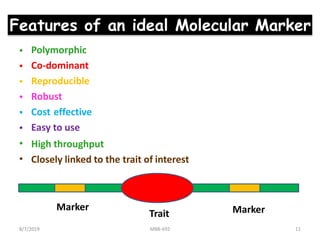 Features of an ideal Molecular Marker
•
•
•
•
•
•
•
•
Polymorphic
Co-dominant
Reproducible
Robust
Cost effective
Easy to use
High throughput
Closely linked to the trait of interest
Marker
Trait Marker
8/7/2019 MBB-692 11
 