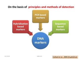On the basis of principles and methods of detection
Collard et al., 2005 (Euphytica)8/7/2019 MBB-692 12
 