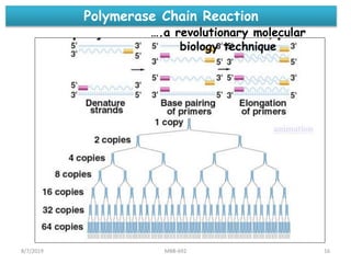 Polymerase Chain Reaction
….a revolutionary molecular
biology technique
8/7/2019 MBB-692 16
 