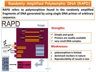 Randomly Amplified Polymorphic DNA (RAPD)
RAPD refers to polymorphism found in the randomly amplified
fragments of DNA generated by using single DNA primer of arbitrary
sequence.
Strengths:
 Simple and quick
 Primers are readily available
 very small DNA samples
Weaknesses:
x polymorphism is limited
x dominant markers in nature
x Reproducibility of results is low
8/7/2019 MBB-692 18
 