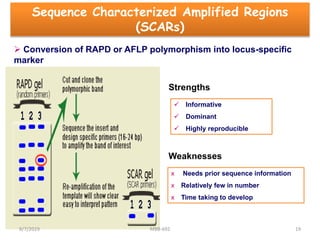 Sequence Characterized Amplified Regions
(SCARs)
 Conversion of RAPD or AFLP polymorphism into locus-specific
marker
Strengths
 Informative
 Dominant
 Highly reproducible
Weaknesses
x Needs prior sequence information
x Relatively few in number
x Time taking to develop
8/7/2019 MBB-692 19
 