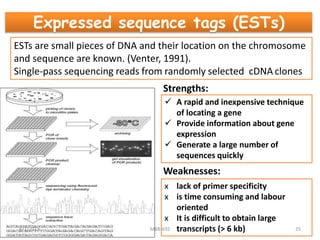 Expressed sequence tags (ESTs)
ESTs are small pieces of DNA and their location on the chromosome
and sequence are known. (Venter, 1991).
Single-pass sequencing reads from randomly selected cDNA clones
Strengths:
 A rapid and inexpensive technique
of locating a gene
 Provide information about gene
expression
 Generate a large number of
sequences quickly
Weaknesses:
x lack of primer specificity
x is time consuming and labour
oriented
x It is difficult to obtain large
transcripts (> 6 kb)8/7/2019 MBB-692 25
 