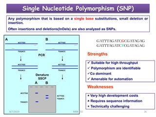 Single Nucleotide Polymorphism (SNP)
Any polymorphism that is based on a single base substitutions, small deletion or
insertion.
Often insertions and deletions(InDels) are also analyzed as SNPs.
Strengths
 Suitable for high throughput
 Polymorphism are identifiable
Co dominant
 Amenable for automation
Weaknesses
 Very high development costs
 Requires sequence information
 Technically challenging
TGGACC
ACCTGG ACTTGG
TGAACC
ACCTGG
TGGACC
ACTTGG
TGAACC
PCR
Denature
SSCP
A B
ACCTGG
TGGACC
ACTTGG
TGAACC
A B
GATTTAGATCGCGATAGAG
GATTTAGATCTCGATAGAG
8/7/2019 MBB-692 26
 