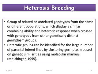 Heterosis Breeding
• Group of related or unrelated genotypes from the same
or different populations, which display a similar
combining ability and heterotic response when crossed
with genotypes from other genetically distinct
germplasm groups.
• Heterotic groups can be identified for the large number
of parental inbred lines by clustering germplasm based
on genetic similarities using molecular markers
(Melchinger, 1999).
8/7/2019 MBB-692 36
 