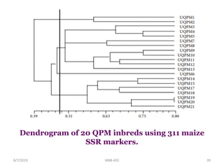Dendrogram of 20 QPM inbreds using 311 maize
SSR markers.
8/7/2019 MBB-692 39
 