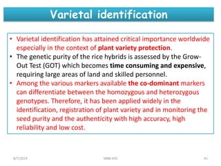 • Varietal identification has attained critical importance worldwide
especially in the context of plant variety protection.
• The genetic purity of the rice hybrids is assessed by the Grow-
Out Test (GOT) which becomes time consuming and expensive,
requiring large areas of land and skilled personnel.
• Among the various markers available the co-dominant markers
can differentiate between the homozygous and heterozygous
genotypes. Therefore, it has been applied widely in the
identification, registration of plant variety and in monitoring the
seed purity and the authenticity with high accuracy, high
reliability and low cost.
Varietal identification
8/7/2019 MBB-692 41
 