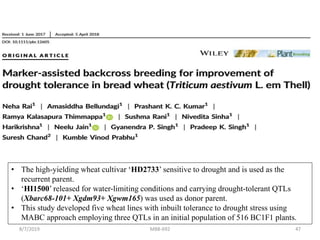 • The high-yielding wheat cultivar ‘HD2733’ sensitive to drought and is used as the
recurrent parent.
• ‘HI1500’ released for water-limiting conditions and carrying drought-tolerant QTLs
(Xbarc68-101+ Xgdm93+ Xgwm165) was used as donor parent.
• This study developed five wheat lines with inbuilt tolerance to drought stress using
MABC approach employing three QTLs in an initial population of 516 BC1F1 plants.
8/7/2019 MBB-692 47
 