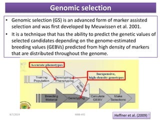 Genomic selection
• Genomic selection (GS) is an advanced form of marker assisted
selection and was ﬁrst developed by Meuwissen et al. 2001.
• It is a technique that has the ability to predict the genetic values of
selected candidates depending on the genome-estimated
breeding values (GEBVs) predicted from high density of markers
that are distributed throughout the genome.
Heffner et al. (2009)8/7/2019 MBB-692 50
 