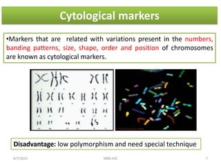 Cytological markers
•Markers that are related with variations present in the numbers,
banding patterns, size, shape, order and position of chromosomes
are known as cytological markers.
Disadvantage: low polymorphism and need special technique
8/7/2019 MBB-692 7
 