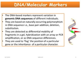DNA/Molecular Markers
• The DNA-based markers represent variation in
genomic DNA sequences of different individuals.
• They are based on naturally occurring polymorphism
in DNA sequence i.e., base pair addition, deletion,
substitution.
• They are detected as differential mobility of
fragments in a gel, hybridization with an array or PCR
ampliﬁcation, or as DNA sequence differences.
• They are used to ‘flag’ the position of a particular
gene or the inheritance of a particular character.
8/7/2019 MBB-692 9
 
