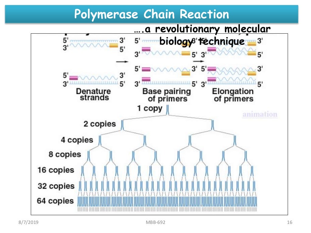 Molecular Markers