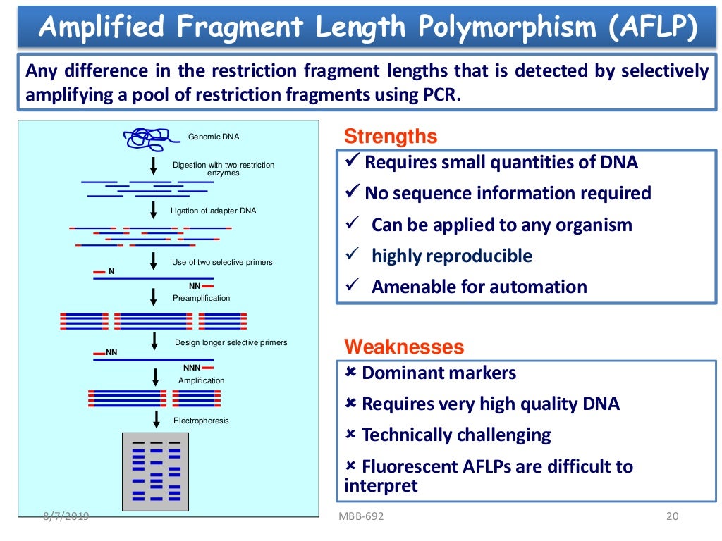 Molecular Markers