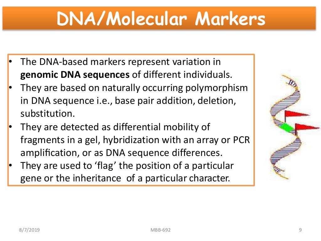 Molecular Markers