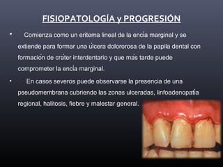 FISIOPATOLOGÍA y PROGRESIÓN
• Comienza como un eritema lineal de la encía marginal y se
extiende para formar una úlcera dolororosa de la papila dental con
formación de cráter interdentario y que más tarde puede
comprometer la encía marginal.
• En casos severos puede observarse la presencia de una
pseudomembrana cubriendo las zonas ulceradas, linfoadenopatía
regional, halitosis, fiebre y malestar general.
 