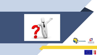 GoGIN - Organisation et modélisation