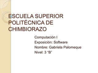 ESCUELA SUPERIOR
POLITÉCNICA DE
CHIMBIORAZO
       Computación I
       Exposición: Software
       Nombre: Gabriela Palomeque
       Nivel: 3 “B”
 